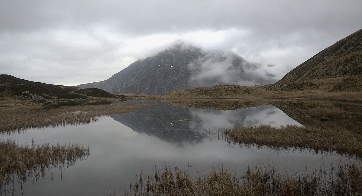 Ogwyn Valley Morning - Pat Hamer